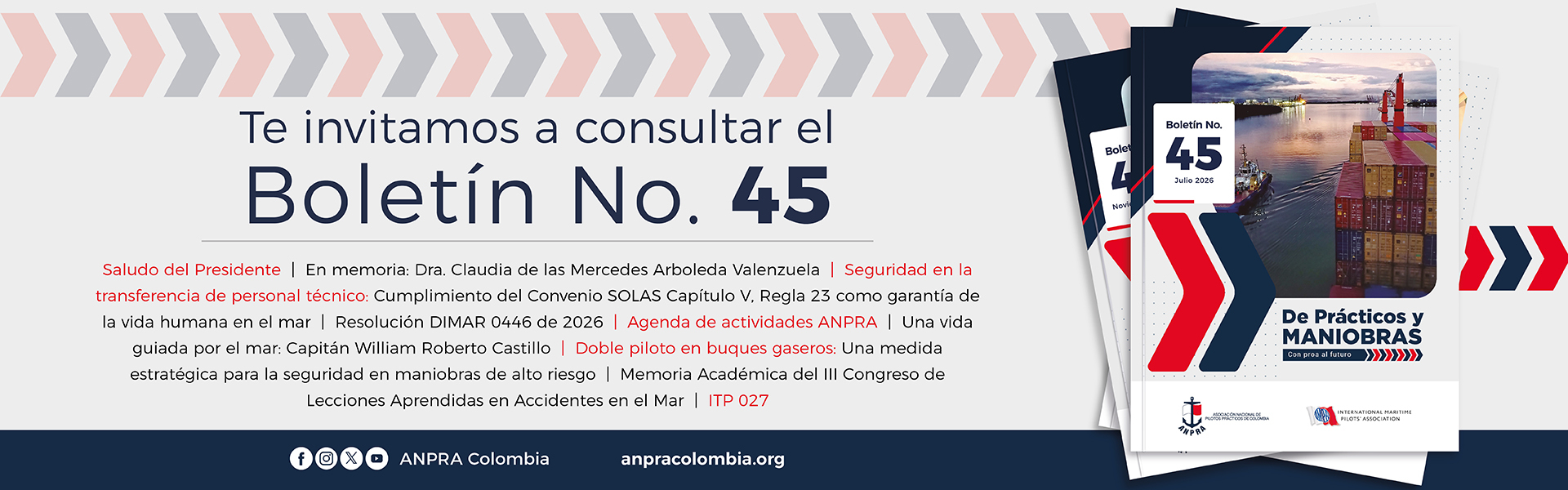 Boletín No 45 Boletín No 45