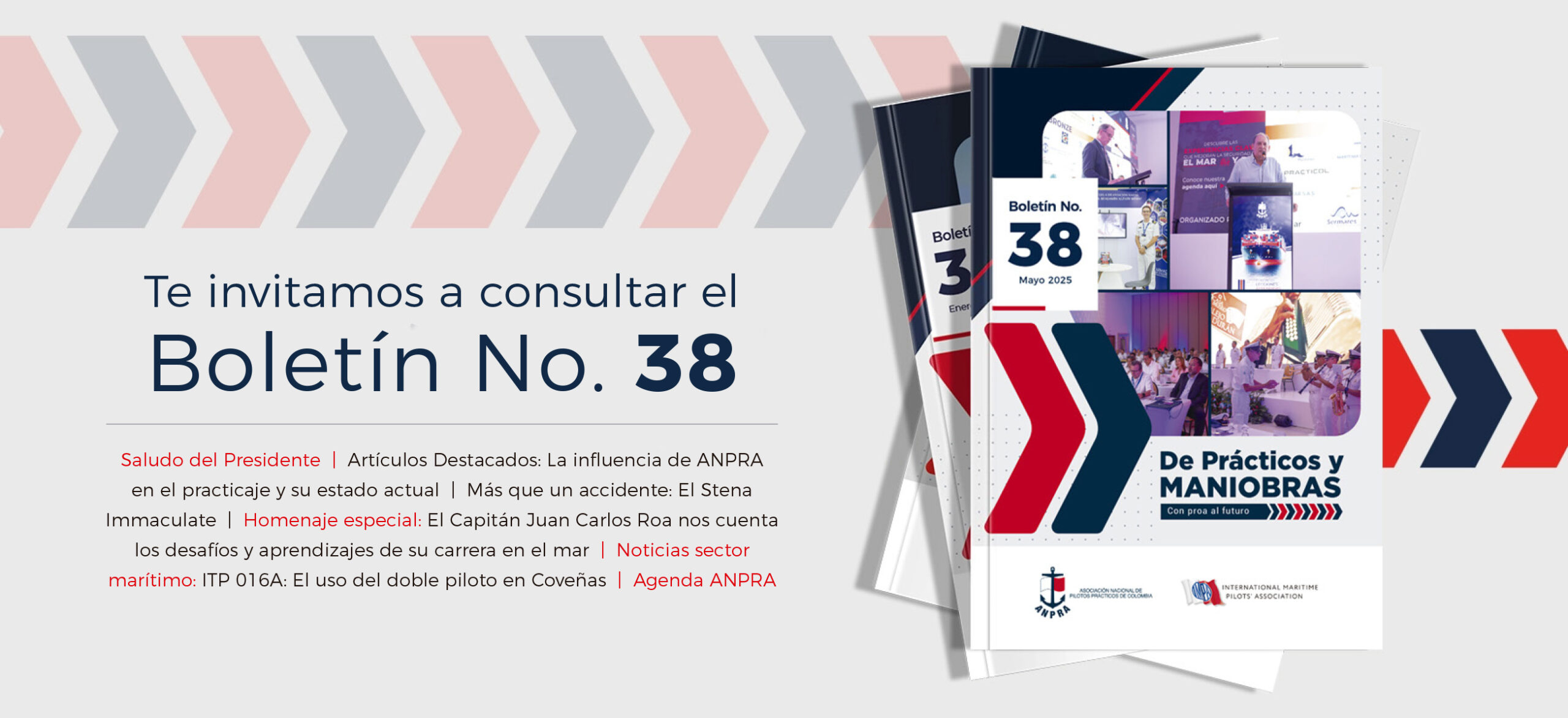 Boletín No 38 Boletín No 38