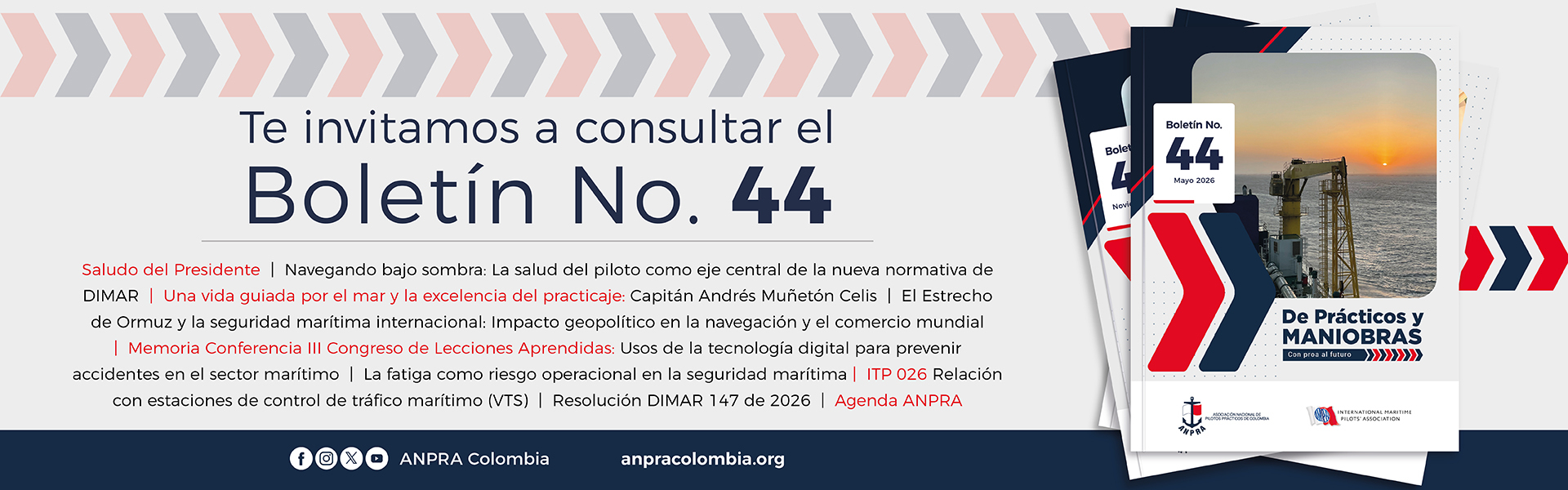 Boletín No 42
